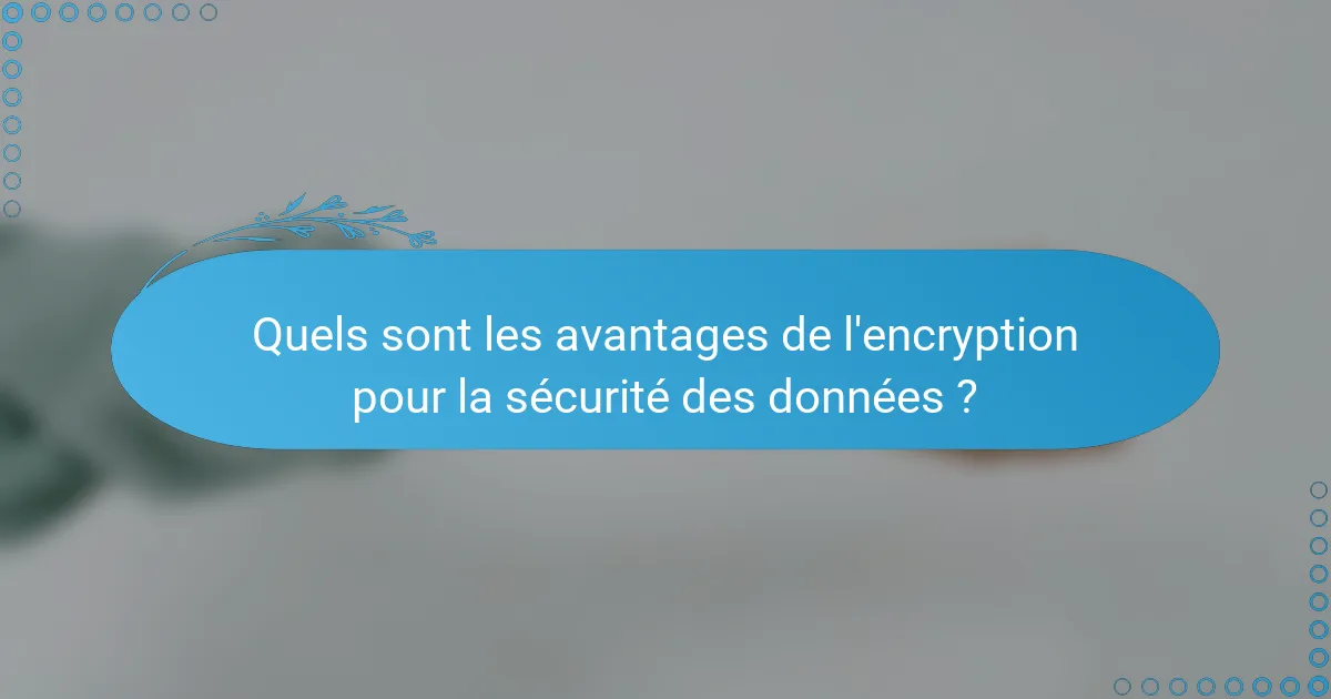 Quels sont les avantages de l'encryption pour la sécurité des données ?