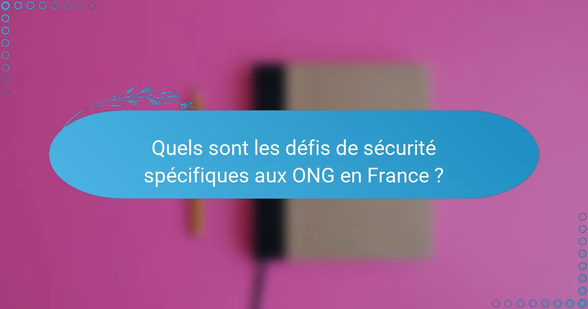 Quels sont les défis de sécurité spécifiques aux ONG en France ?